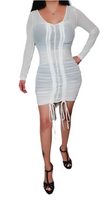 Sheer Mesh Dress